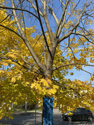 Similar image 21654229