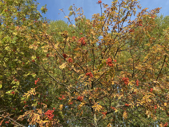 Similar image 21654230