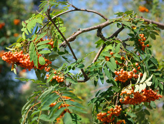 Similar image 21654231