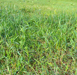 Similar image 21654232