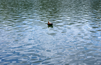 Similar image 21654236