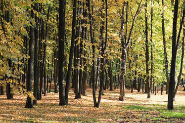 Similar image 21654246