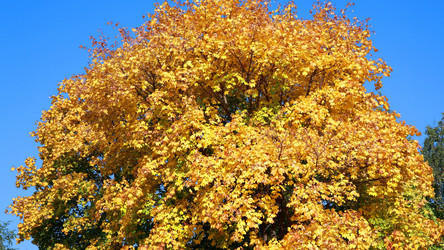 Similar image 21654247