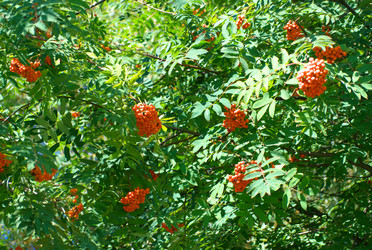 Similar image 21654250