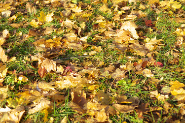 Similar image 21654253