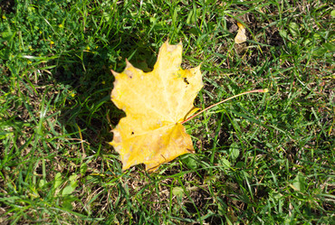 Similar image 21654254