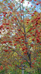 Similar image 21654255