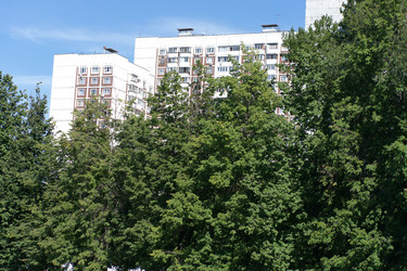 Similar image 21654262