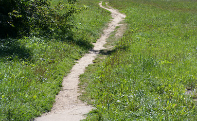 Similar image 21654263