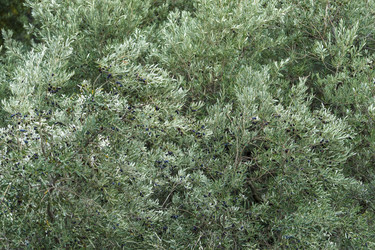 Similar image 21660570