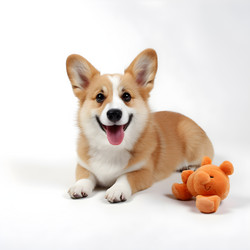 Similar image 21653737