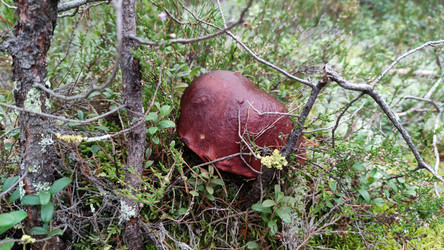 Similar image 21653771