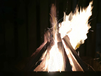 Similar image 21653772