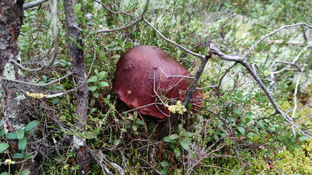 Similar image 21653773