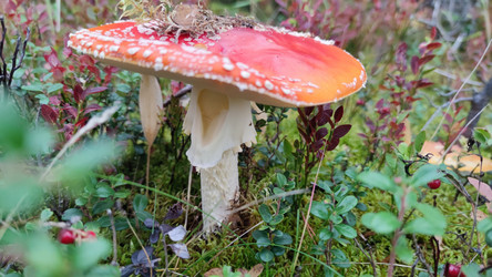 Similar image 21653777