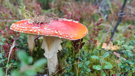 Similar image 21653779