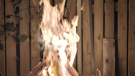 Similar image 21653782