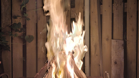 Similar image 21653784