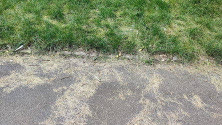 Similar image 21655972