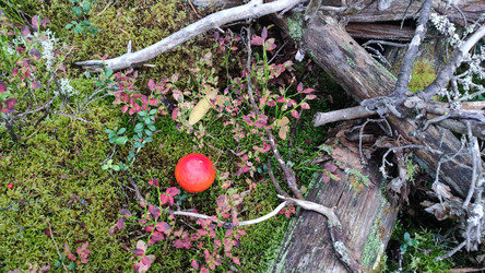 Similar image 21655973