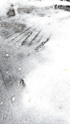 Similar image 21655978