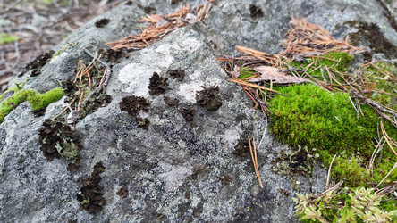 Similar image 21655979