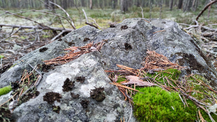 Similar image 21655981