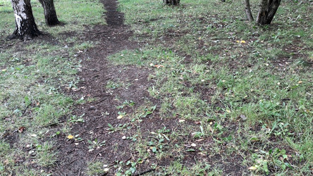 Similar image 21655982