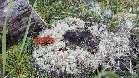 Similar image 21655983