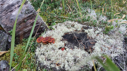 Similar image 21655985