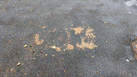 Similar image 21655986