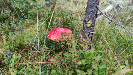 Similar image 21655987