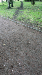 Similar image 21655990