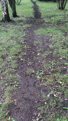 Similar image 21655992