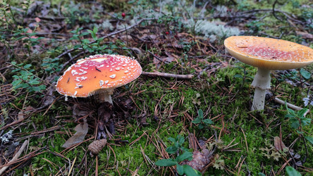 Similar image 21655993