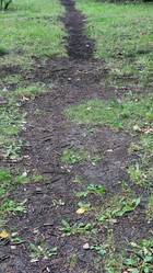 Similar image 21655994