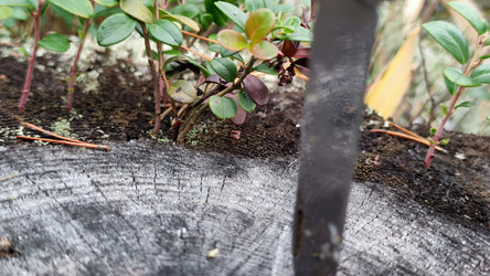 Similar image 21655995