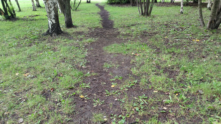 Similar image 21655996