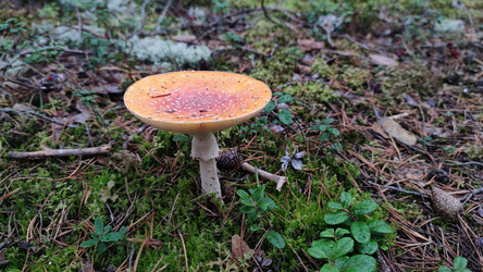 Similar image 21655997