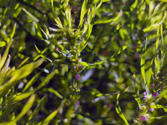 Similar image 21656073