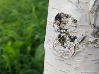 Similar image 21656074