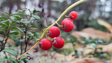 Similar image 21656077