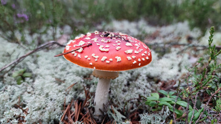 Similar image 21653797