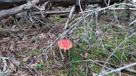 Similar image 21656081