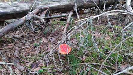 Similar image 21656083