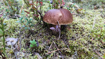 Similar image 21653798