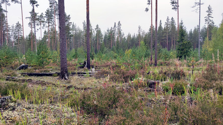 Similar image 21656087