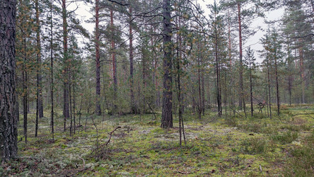 Similar image 21656090