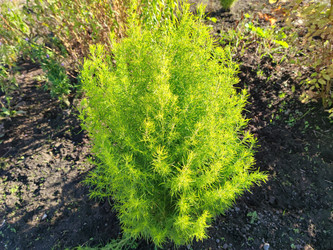 Similar image 21656094