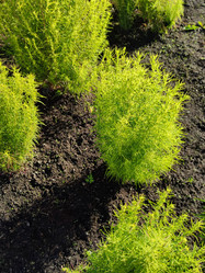 Similar image 21656096